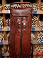 Castillo Case 3 small.jpg