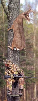 deer%20hunting[1].jpg