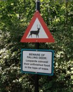 Beware_Of_Falling_Deer[1].jpg