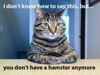 Not_Sure_How_To_Say_This[1].jpg
