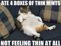 Thin_Mints[1].jpg