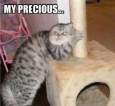 Funny_Pictures_14079[1].jpg