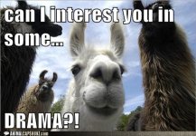 funny-animal-captions-can-i-interest-you-in-some-drama1.jpg
