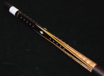 954_fore_hi.jpg