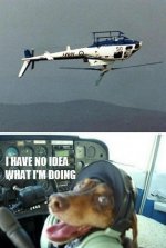 29883[1].jpg