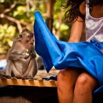 013-funny-photos[1].jpg