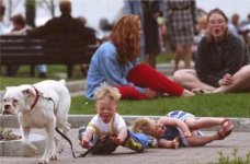 dog[1].jpg