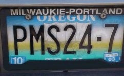 PMS247[1].jpg
