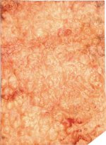 PelinBurl401-A.jpg