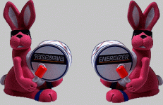 Bunnies.GIF