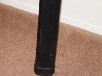 whitten1x2_05.jpg