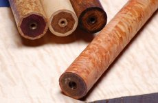 KentForearm2 (3).jpg