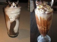 tumblr_lxpbztII5J1qzbs6po1_500[1].jpg