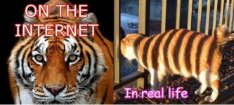 oninternet.jpg
