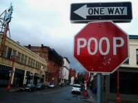 tumblr_mgfk4faVjz1qzbs6po1_r1_500[1].jpg