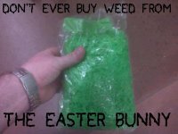 easter-bunny-weed_small.jpg