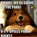 32280[1].jpg