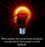 small ligghtbulb.jpg
