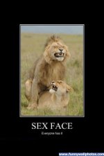sex-face[1].jpg