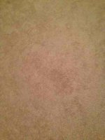 ImageUploadedByTapatalk1366852666.785528.jpg