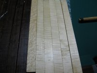 woods1.jpg