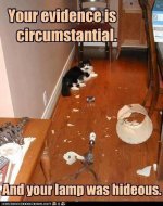 Circumstantial-FB.jpg