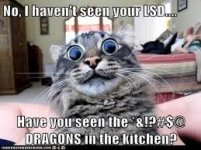 imagesCAG0SS6V.jpg
