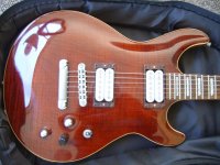 guitar 004.jpg