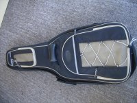 guitar 001.jpg