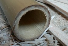 Tonkin Cane End Cut.jpg