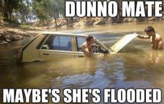 flooded-engine[1].jpg