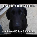 Ham Sammich.jpg