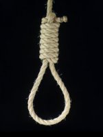 250px-Knot-hangmans-noose(1).jpg