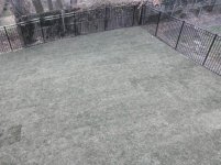 New Grass 1.jpg