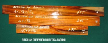 BRW DALBERGIA BARONII JPEG.jpg