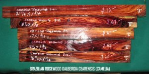 BRW DALBERGIA VIOLET JPEG.jpg