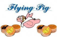 flying_pig.jpg