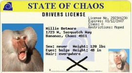 wbm_license.gif
