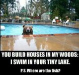 tiny lake fb.jpg