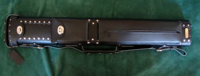 case cues 021.jpg2.jpg