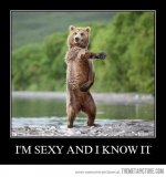 funny-grizzly-bear-dancing.jpg