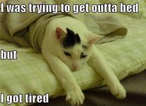 out of bed fb.jpg