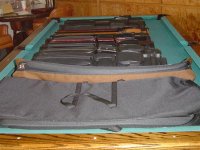 CASES TRAVEL (Medium).JPG