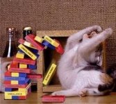 jengacat.jpg