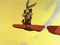 Wile E. Coyote.JPG