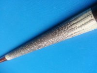 20131004_021811.jpg