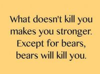 Bears FB.jpg