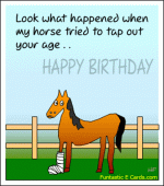 bd-fun-horse.gif