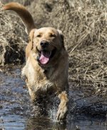 In the creek.jpg