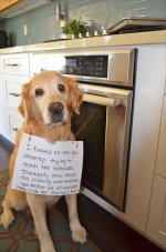 dumpaday-funny-pictures-4-31.jpg